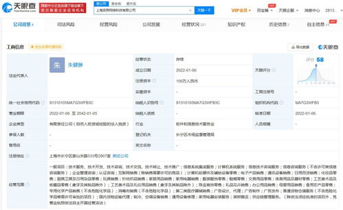 信息系統(tǒng)集成服務(wù)的核心價(jià)值與應(yīng)用前景